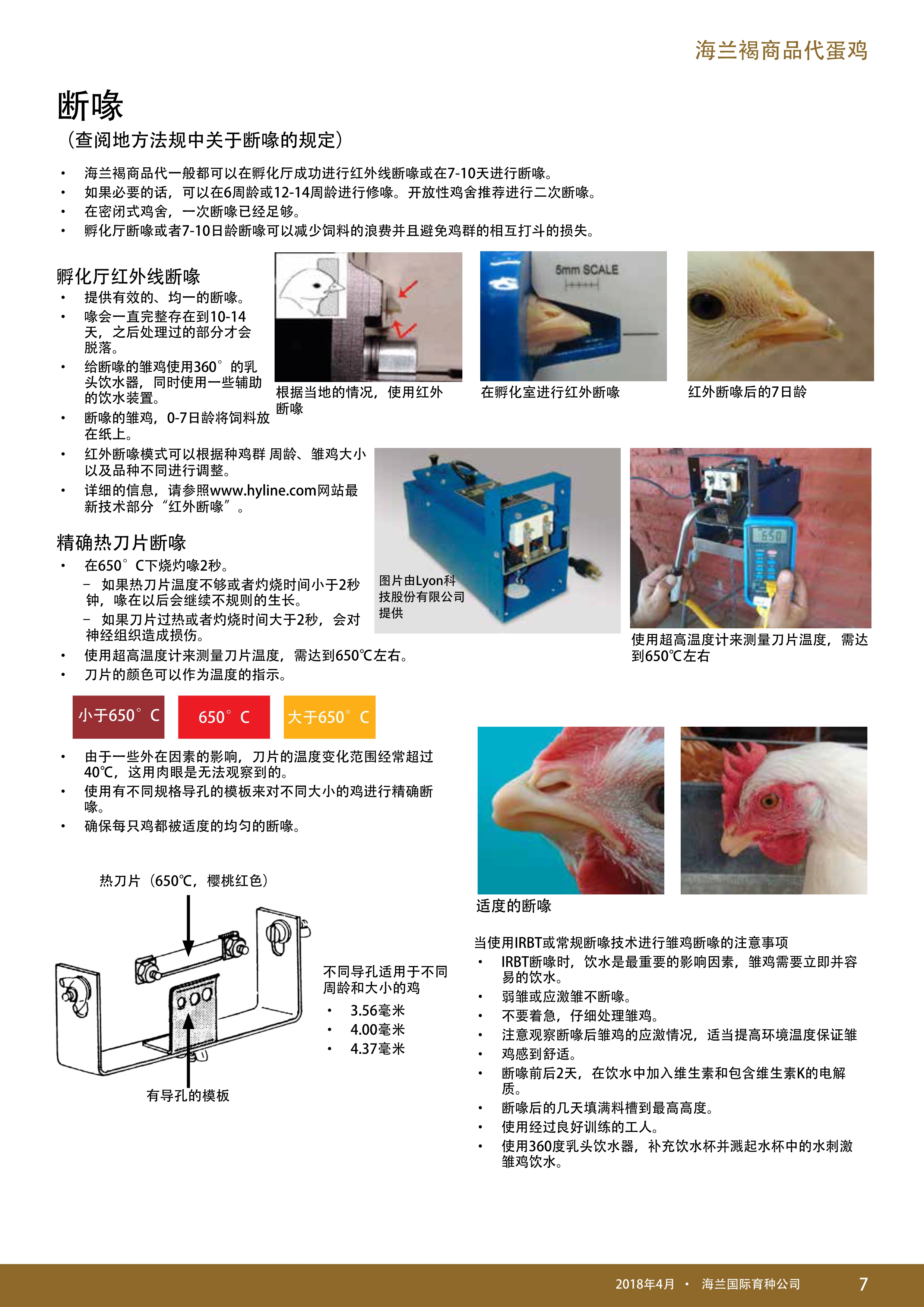 香港马料正版资料