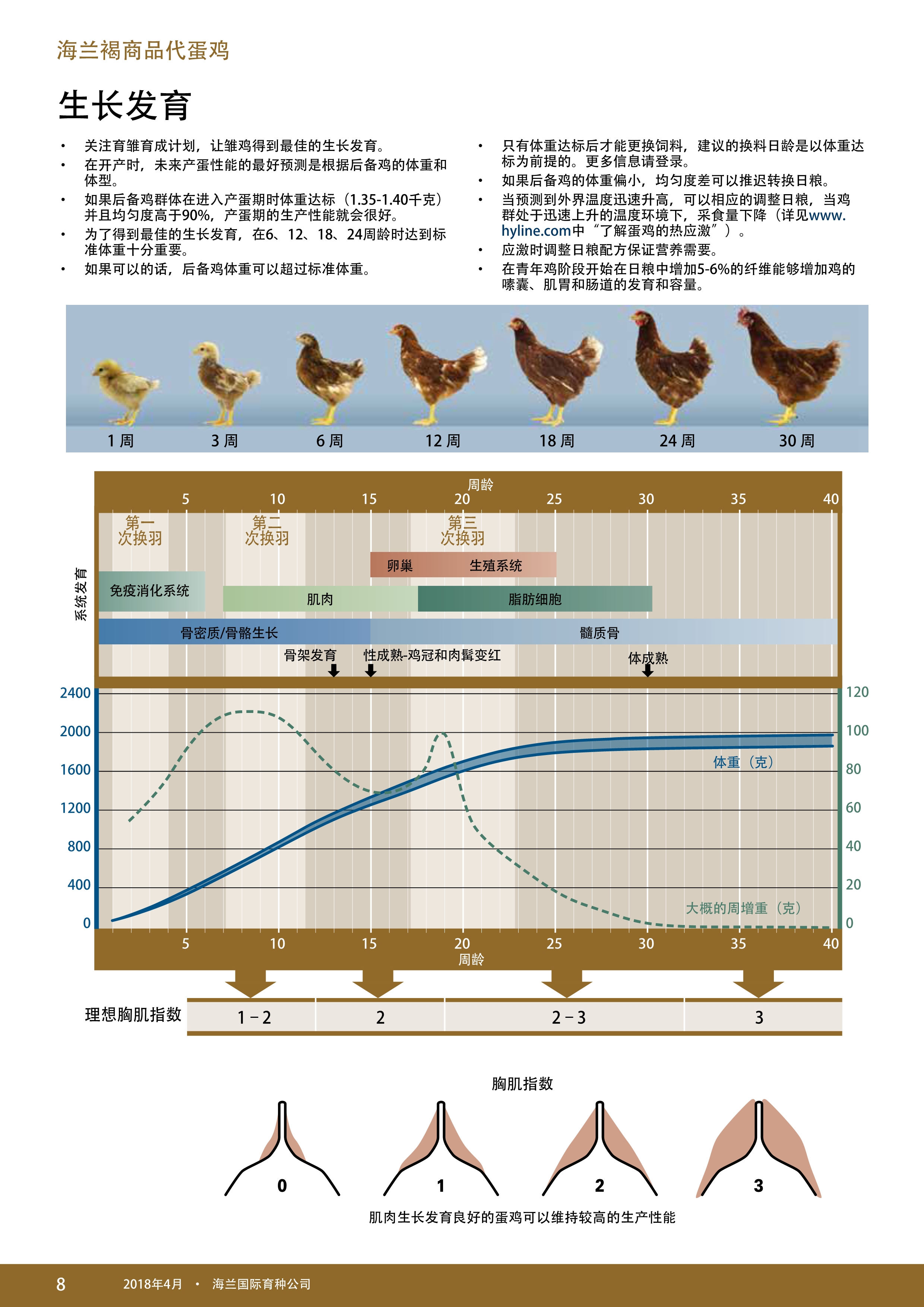 香港马料正版资料