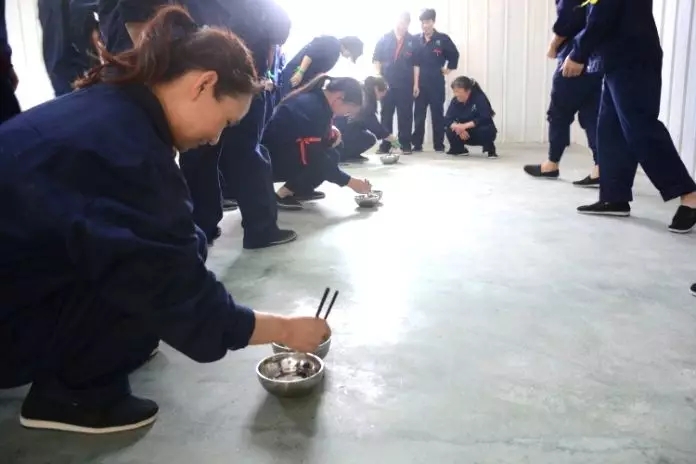 香港马料正版资料