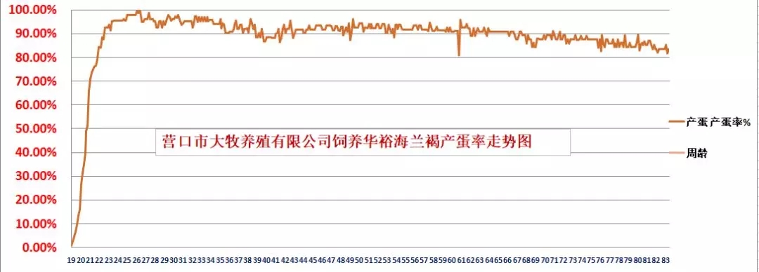 香港马料正版资料