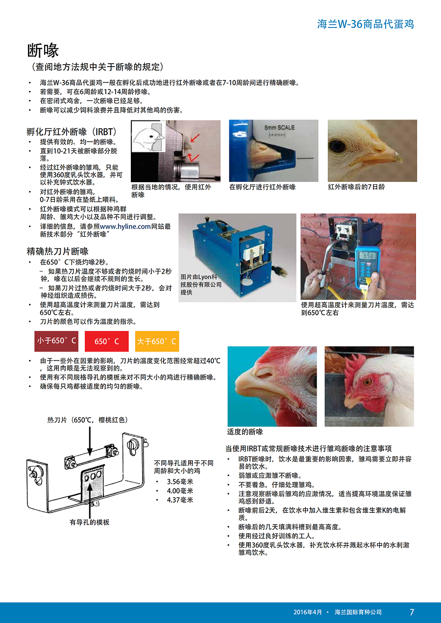 香港马料正版资料