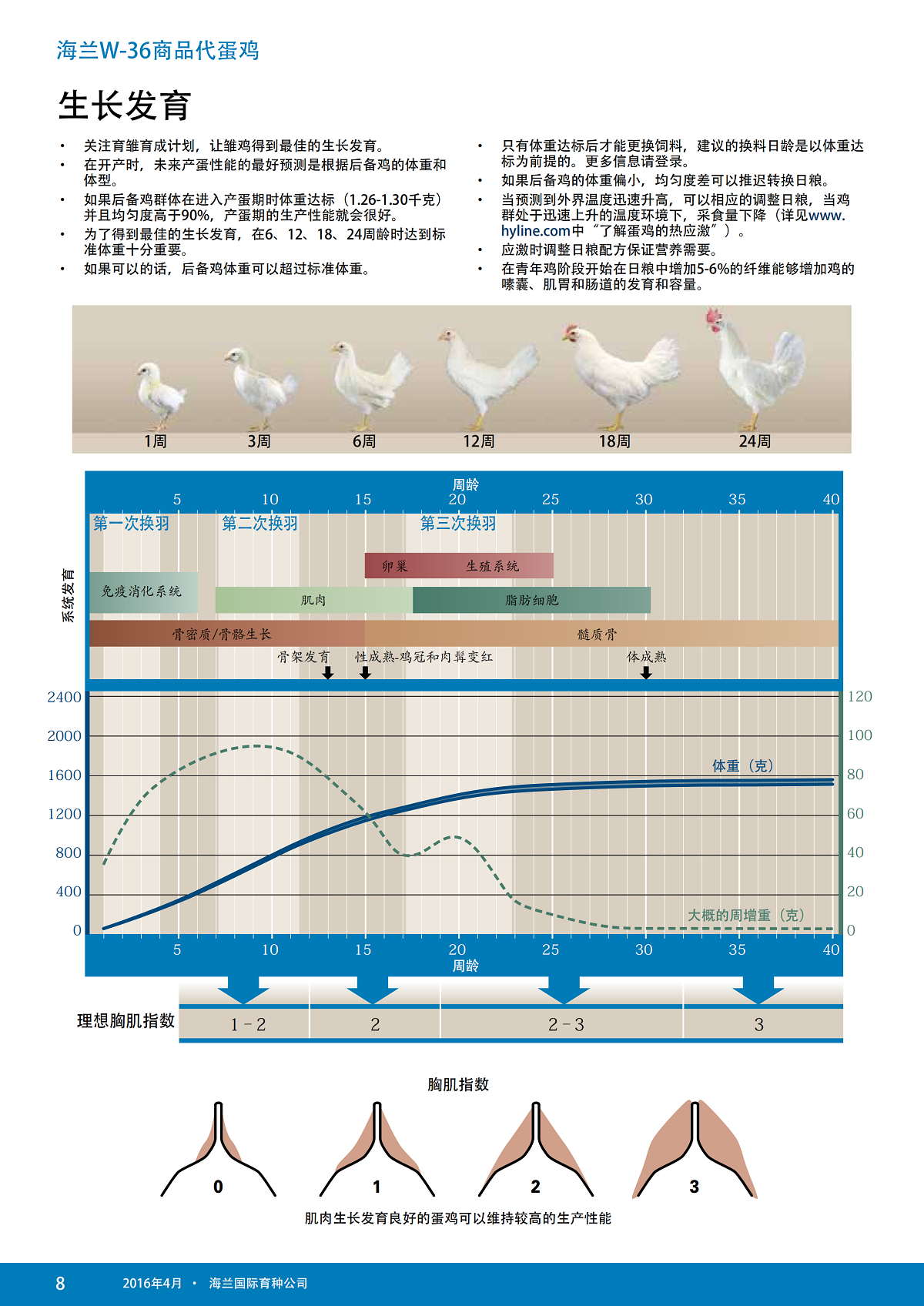 香港马料正版资料