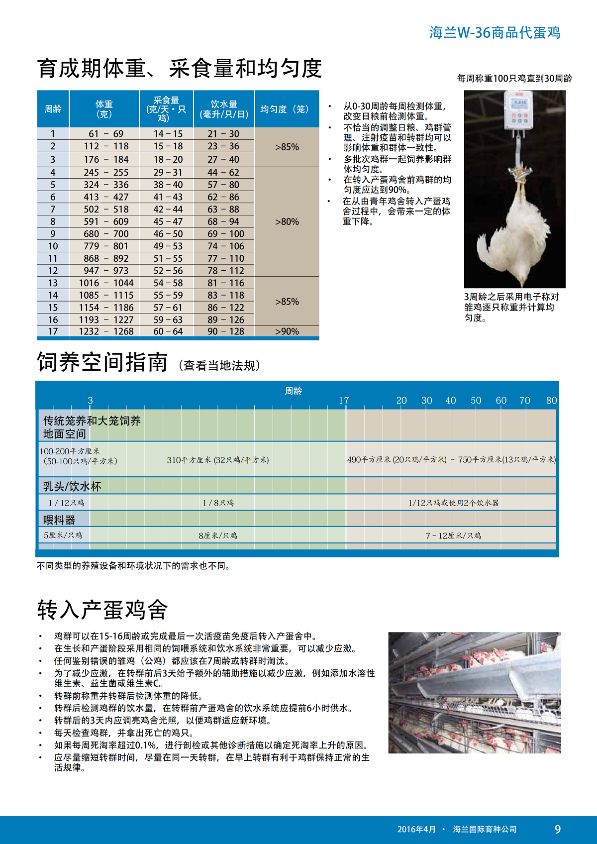 香港马料正版资料