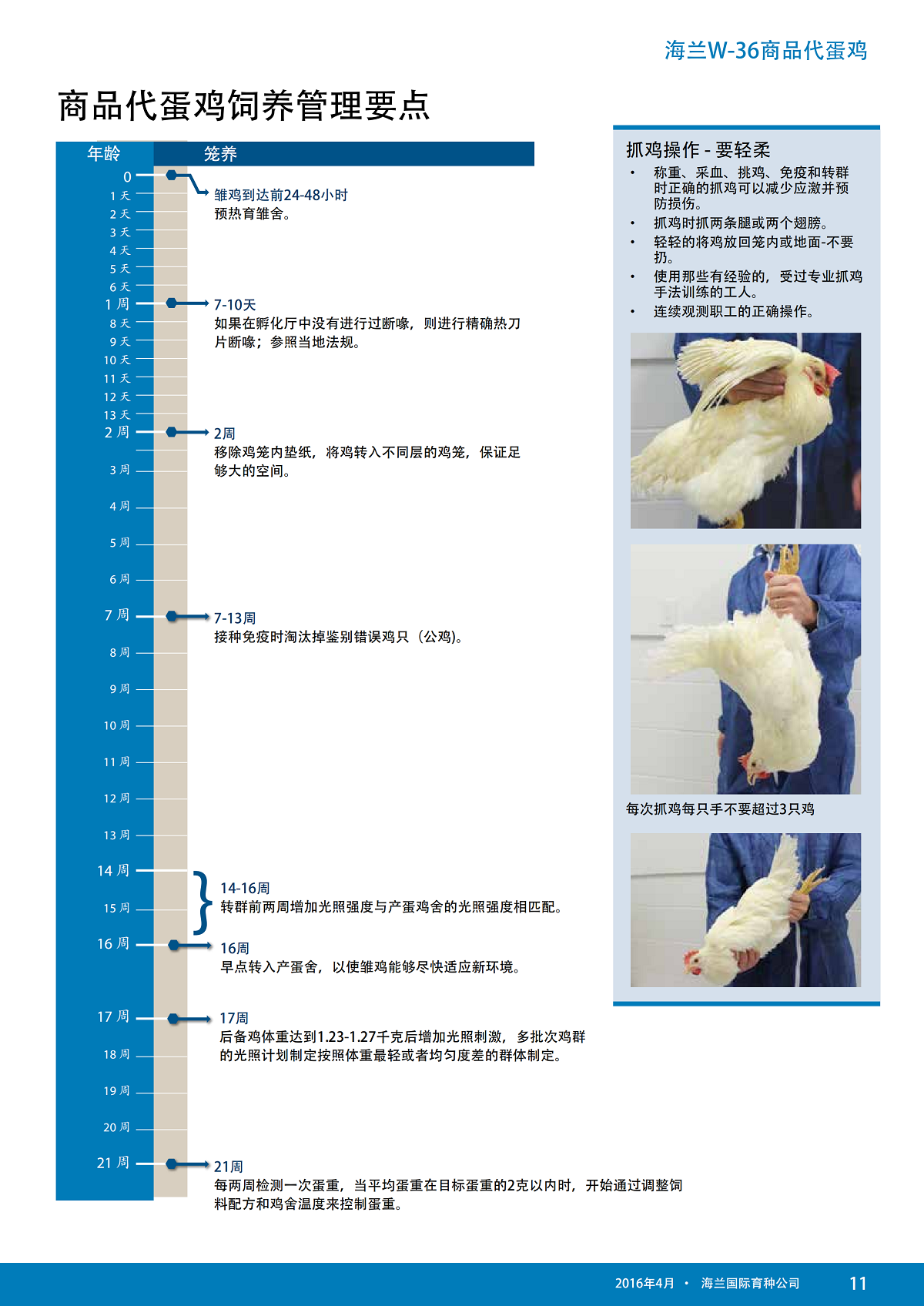 香港马料正版资料