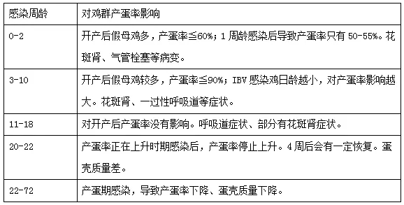 香港马料正版资料