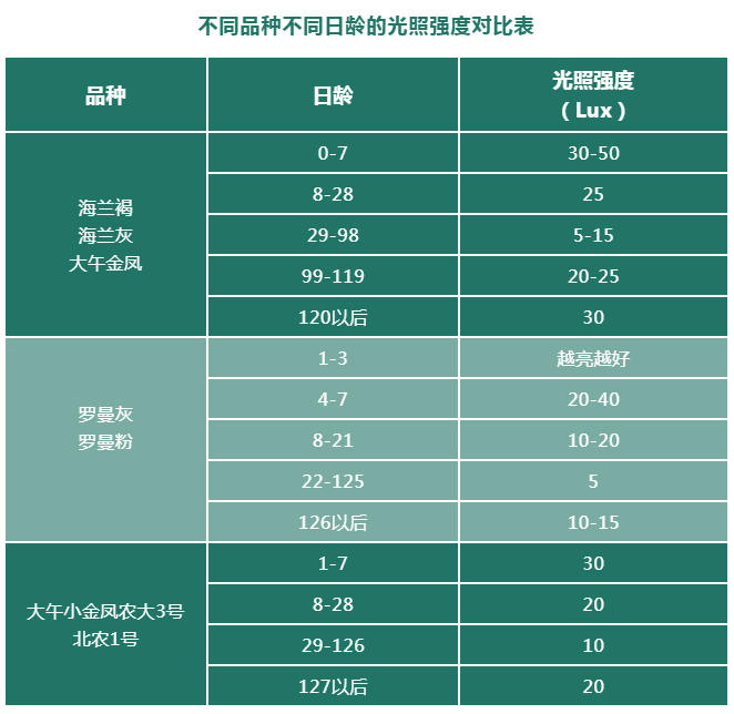 香港马料正版资料