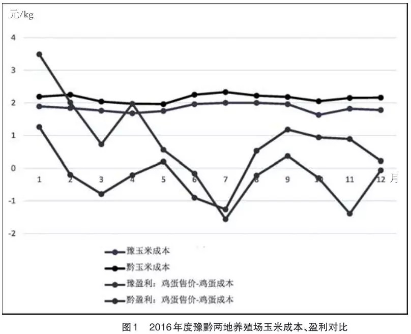 香港马料正版资料