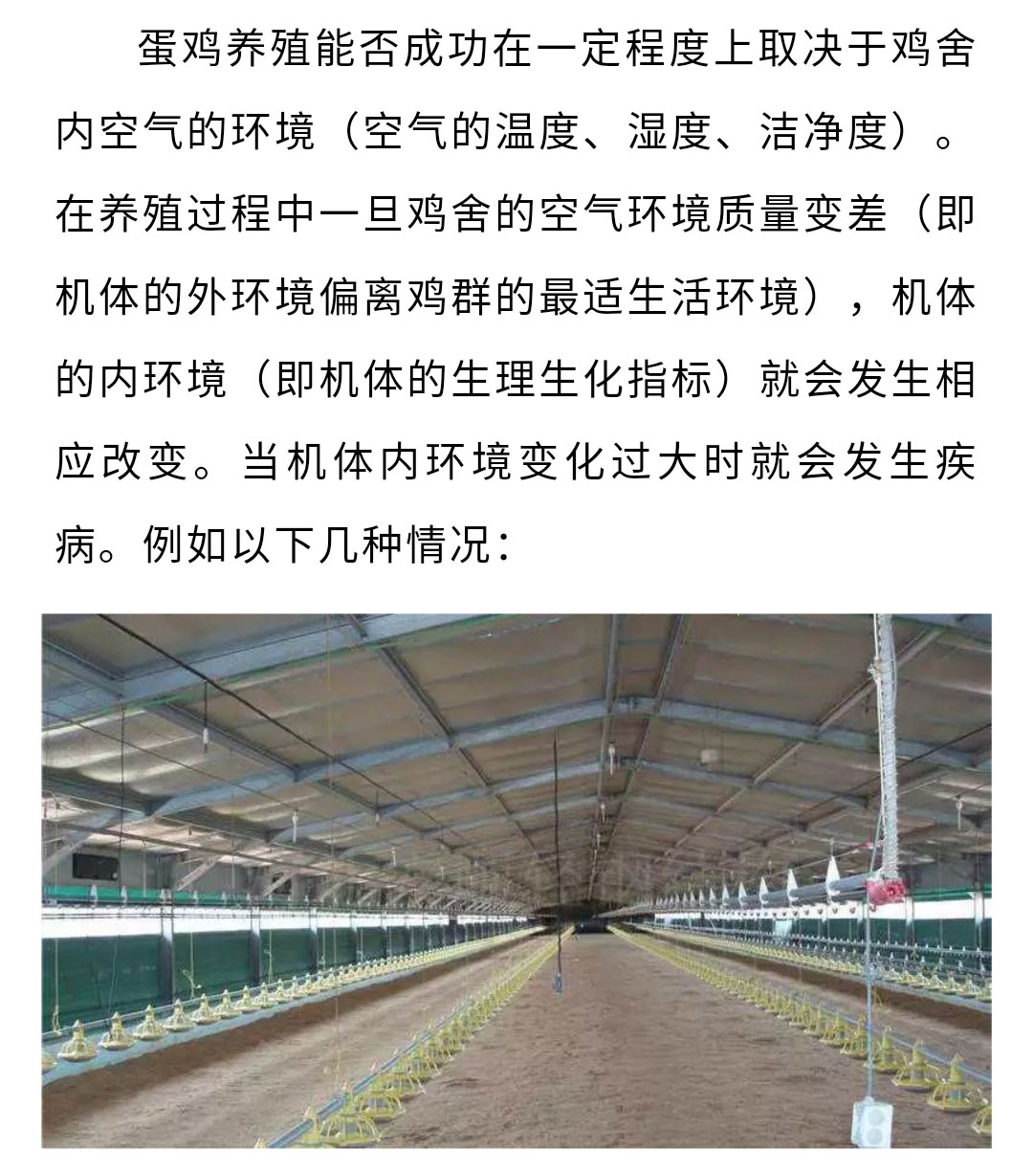 香港马料正版资料