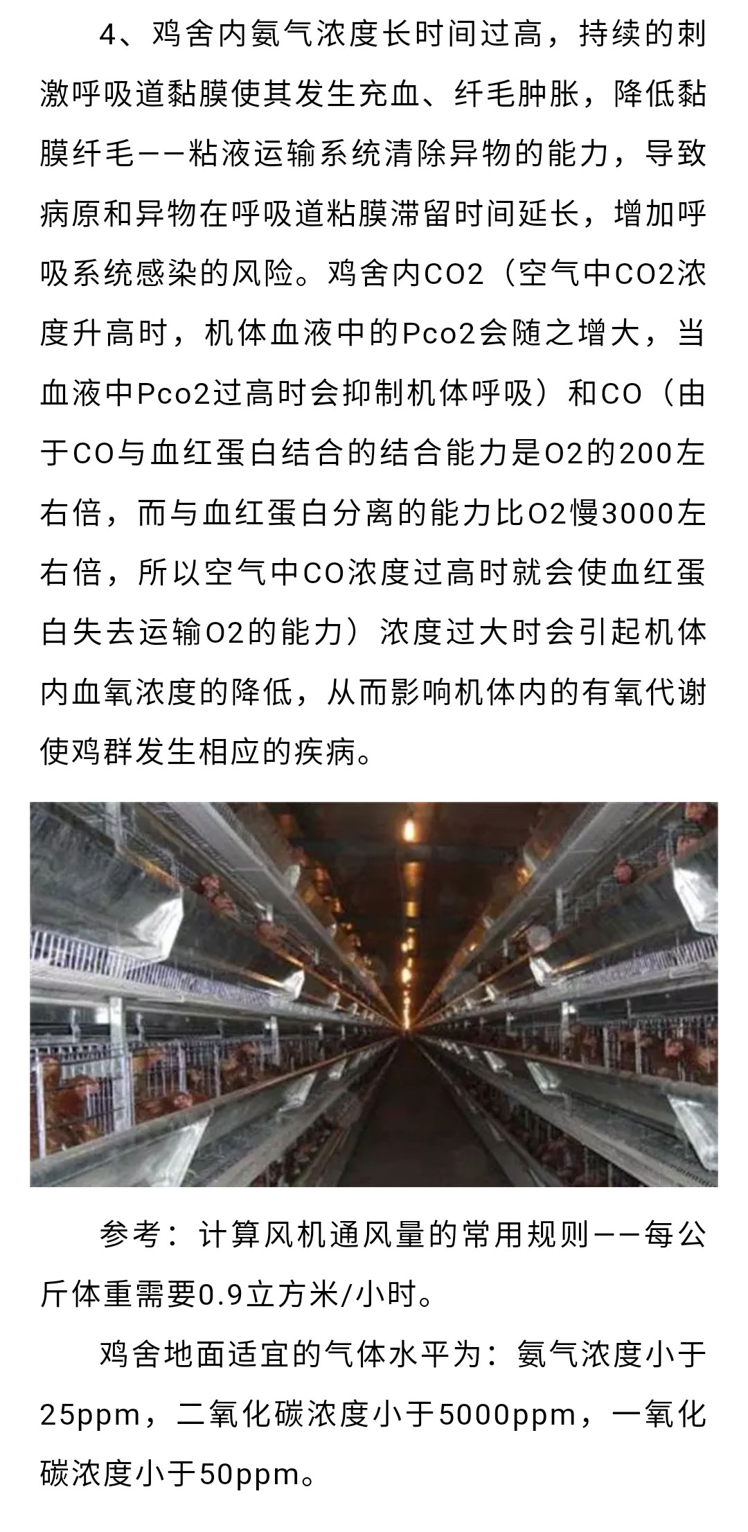 香港马料正版资料