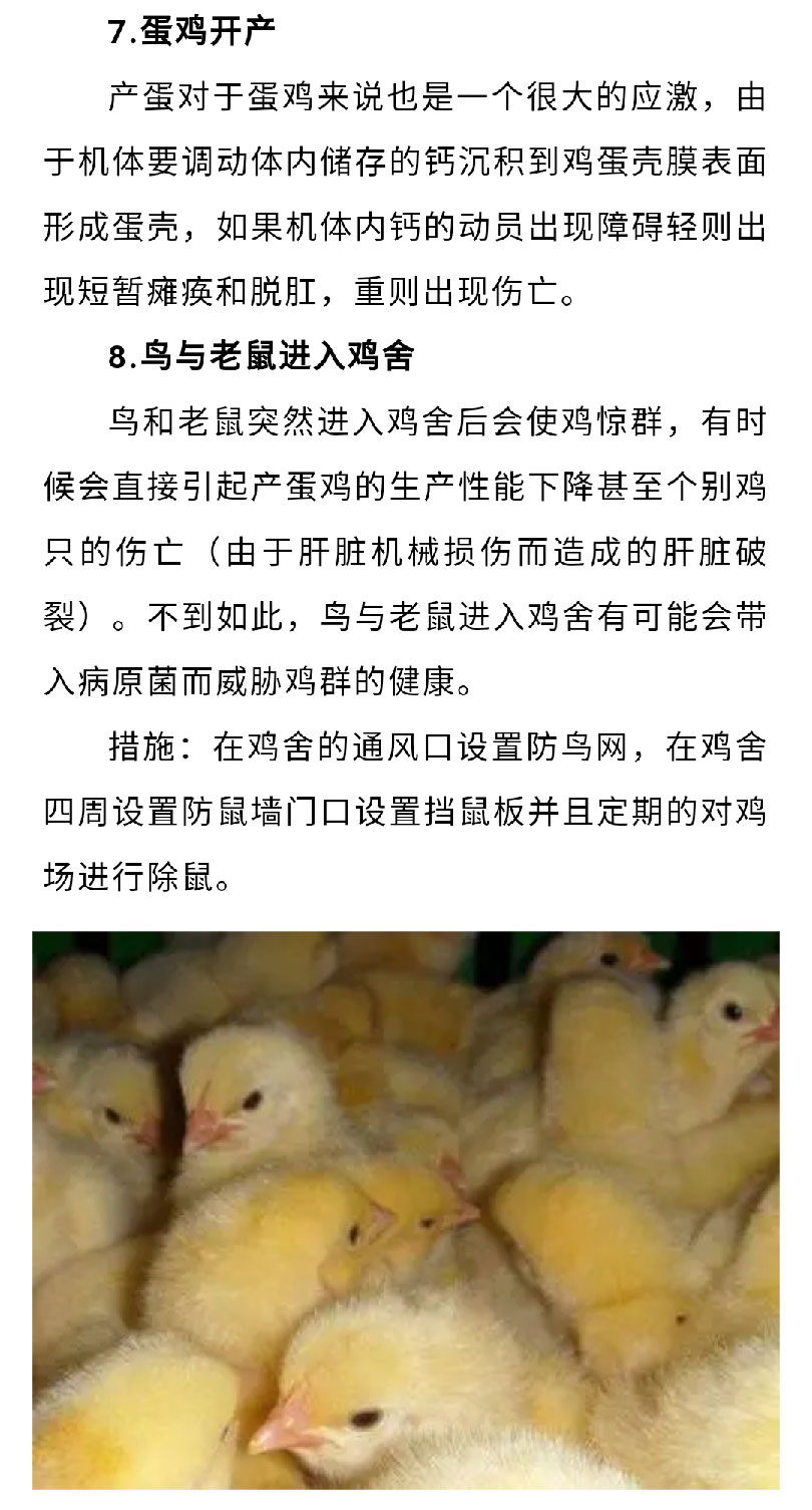 香港马料正版资料