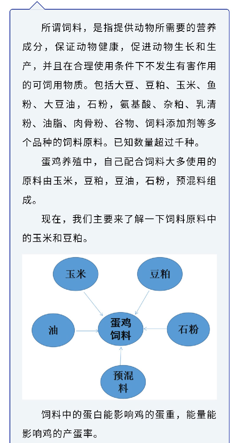 香港马料正版资料