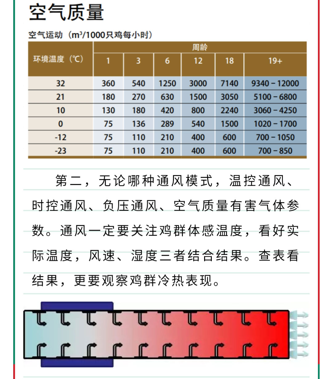 香港马料正版资料