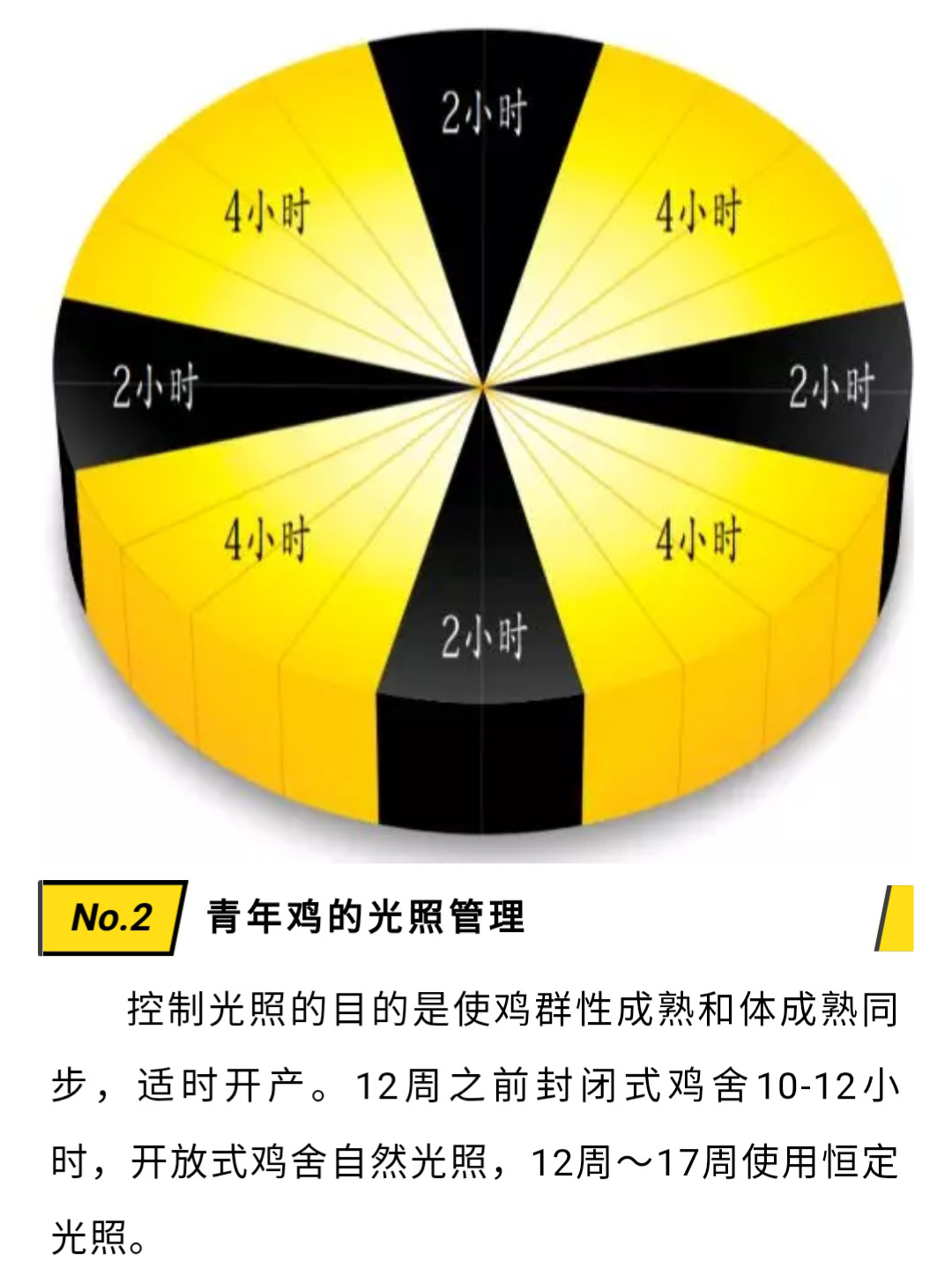 香港马料正版资料