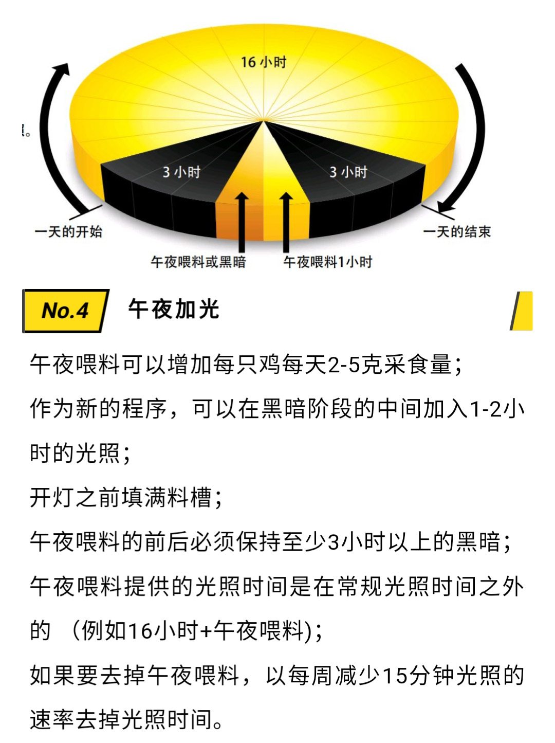 香港马料正版资料