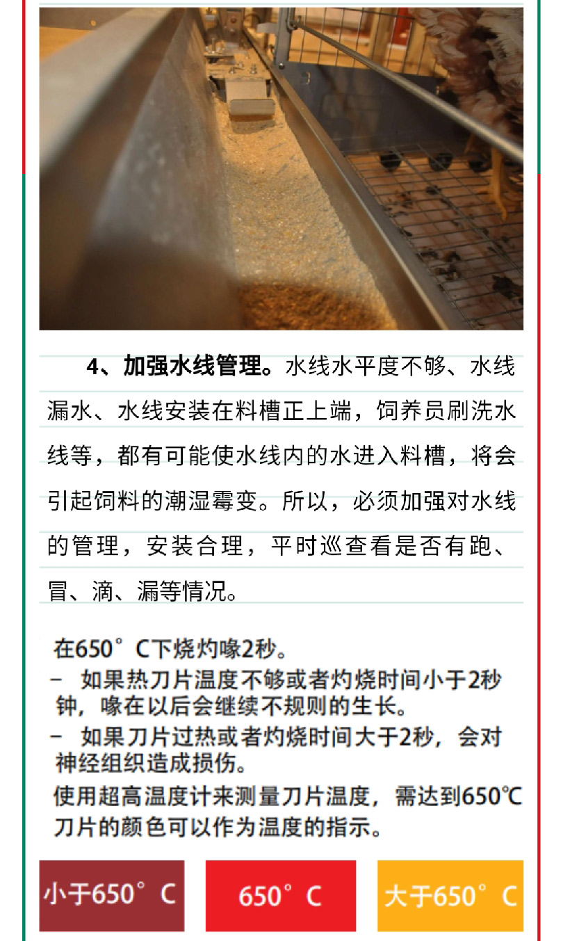 香港马料正版资料