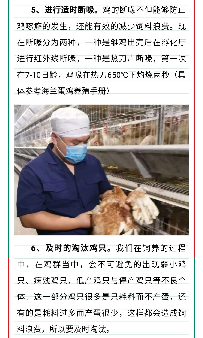 香港马料正版资料