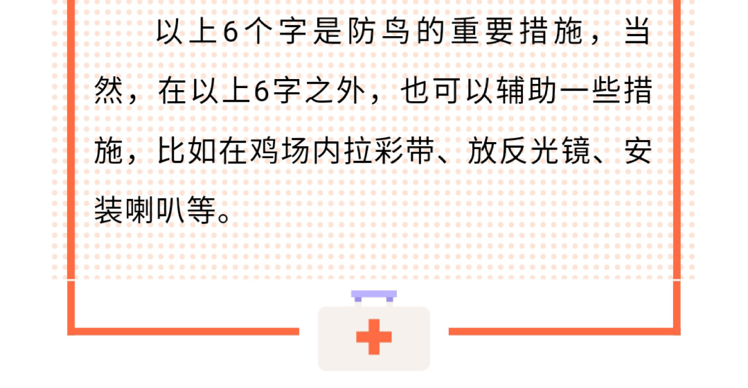 香港马料正版资料