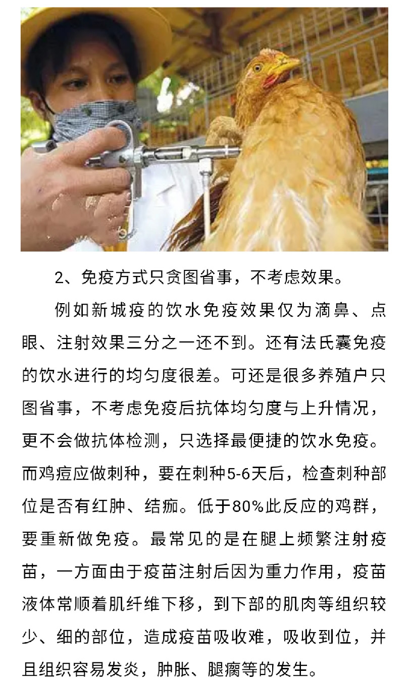 香港马料正版资料