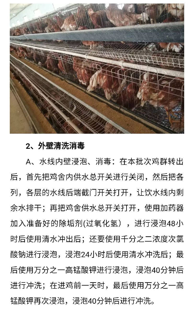 香港马料正版资料