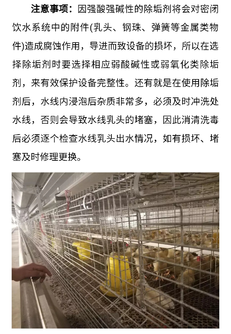 香港马料正版资料