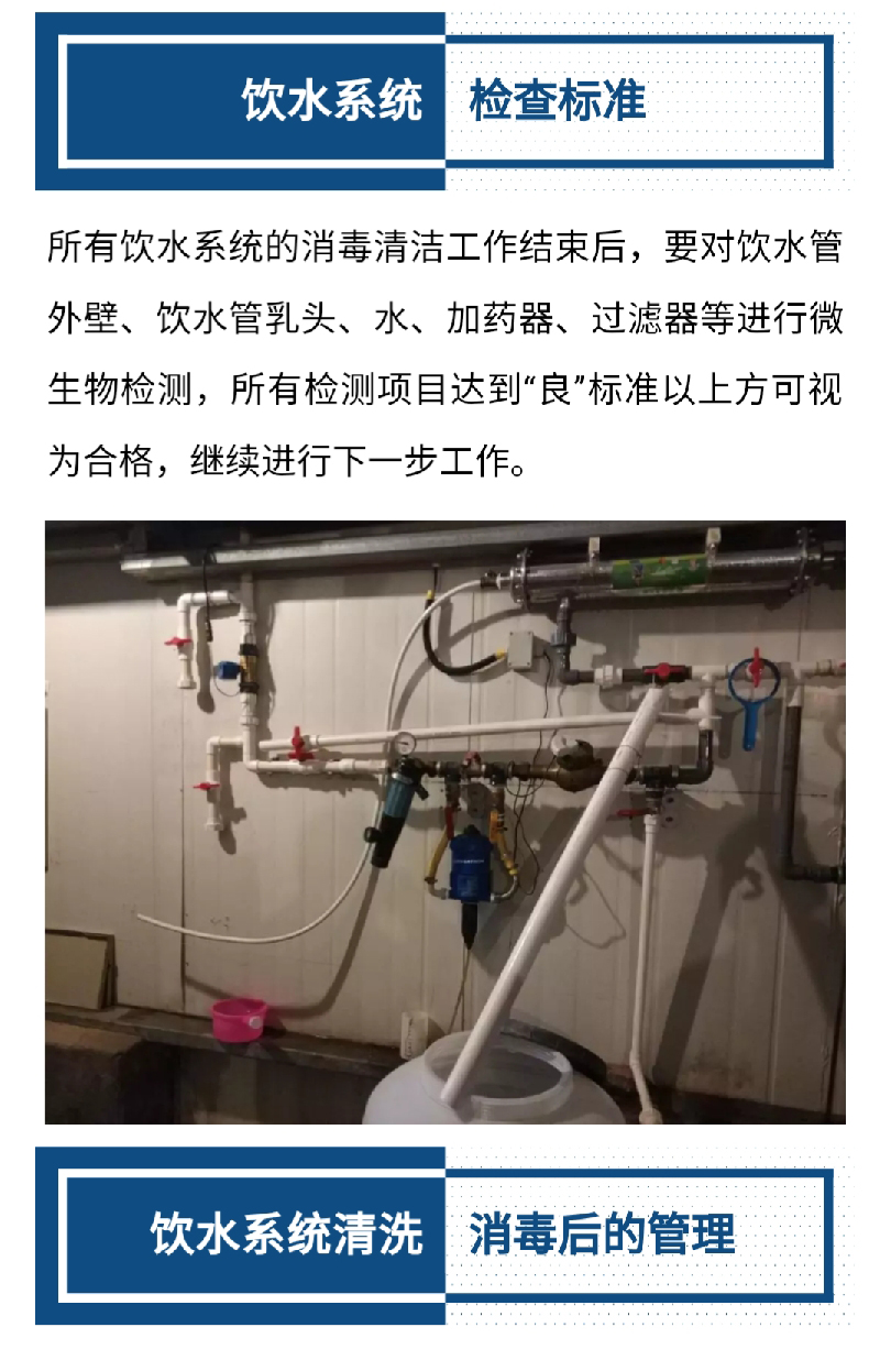 香港马料正版资料