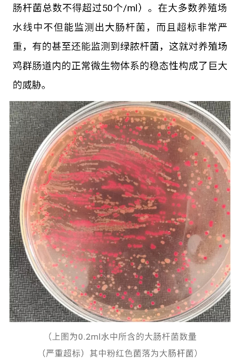 香港马料正版资料