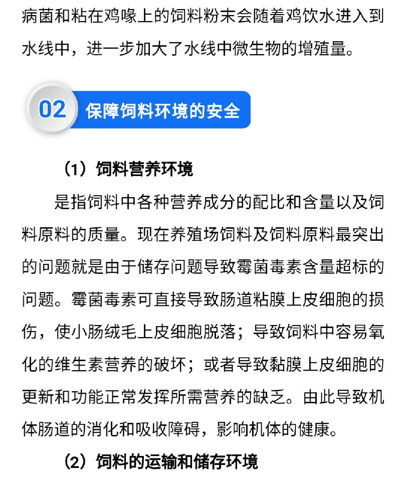 香港马料正版资料