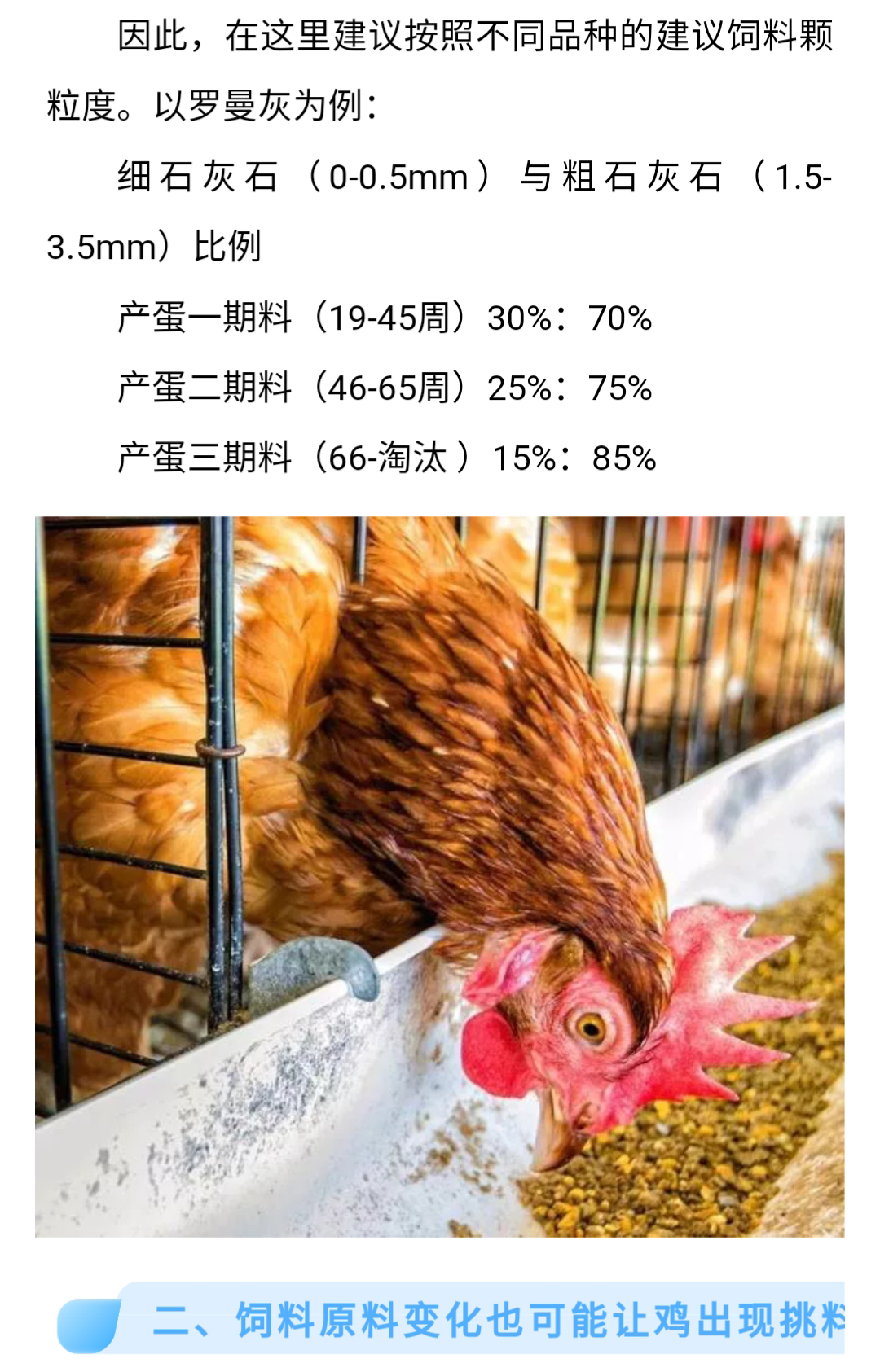 香港马料正版资料