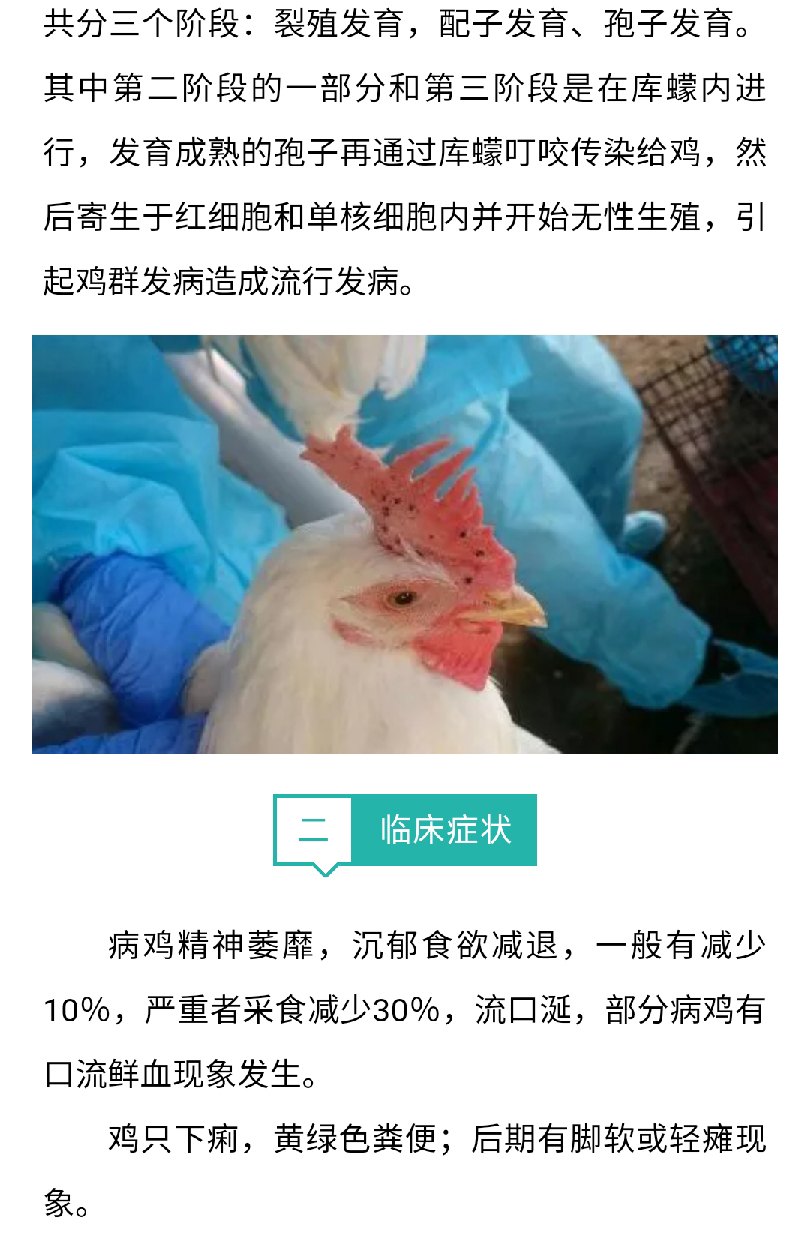 香港马料正版资料