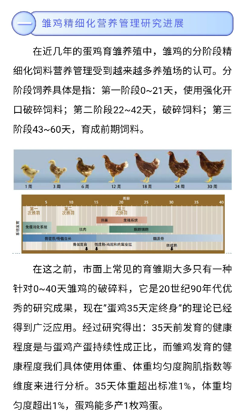 香港马料正版资料