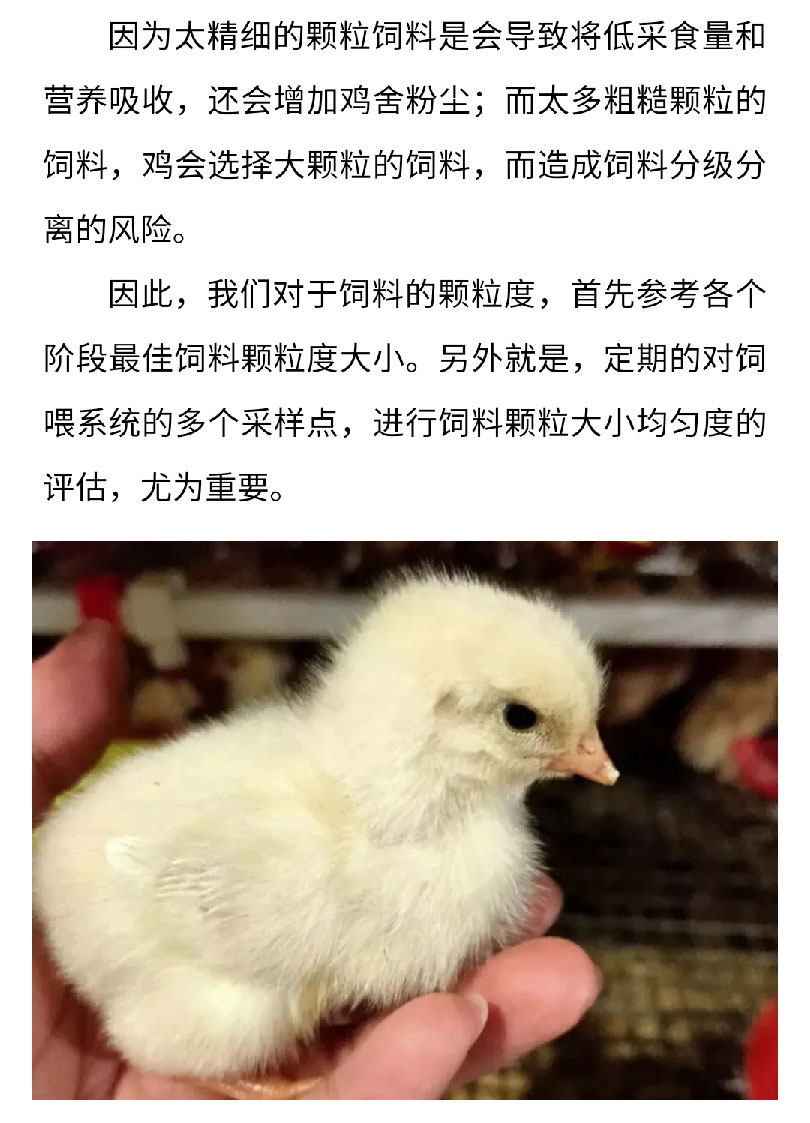 香港马料正版资料