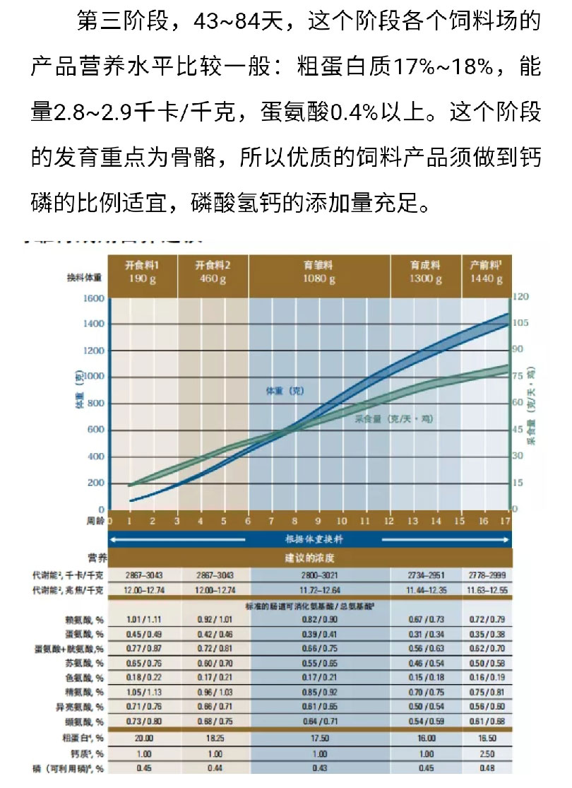 香港马料正版资料