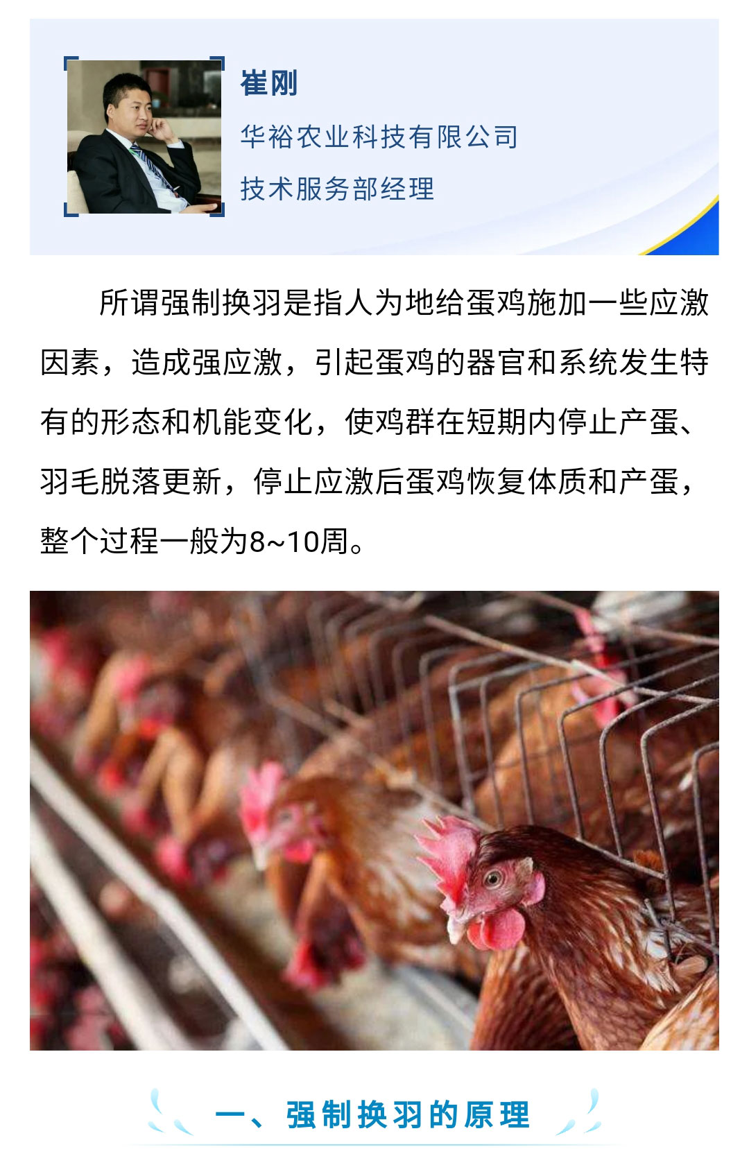 香港马料正版资料