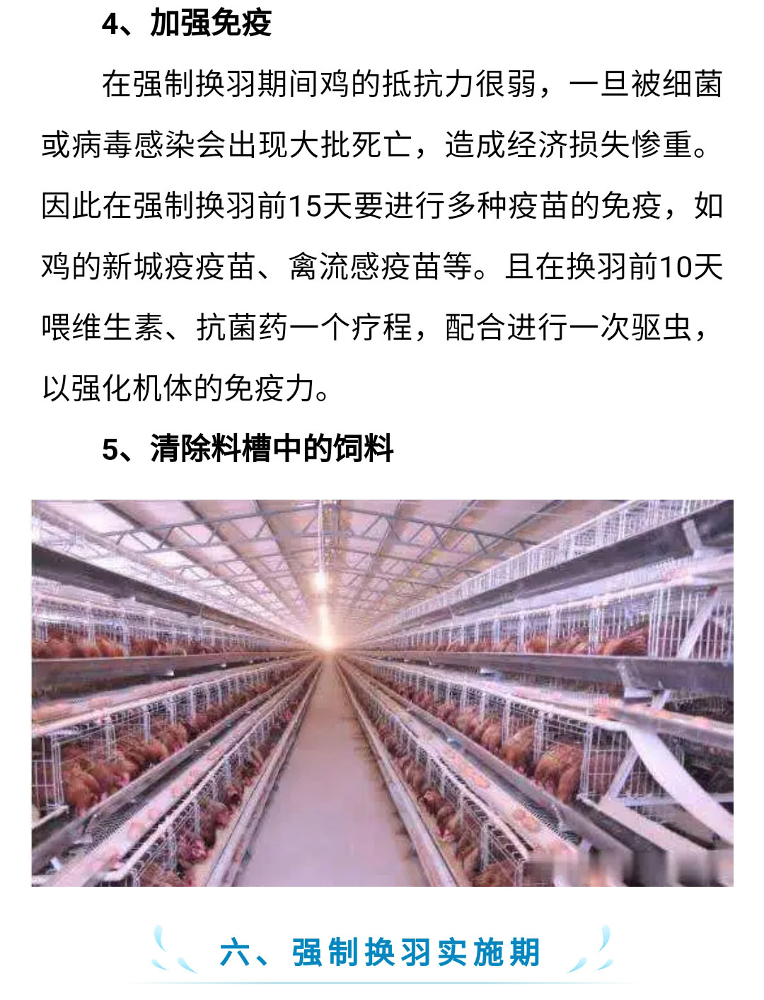 香港马料正版资料