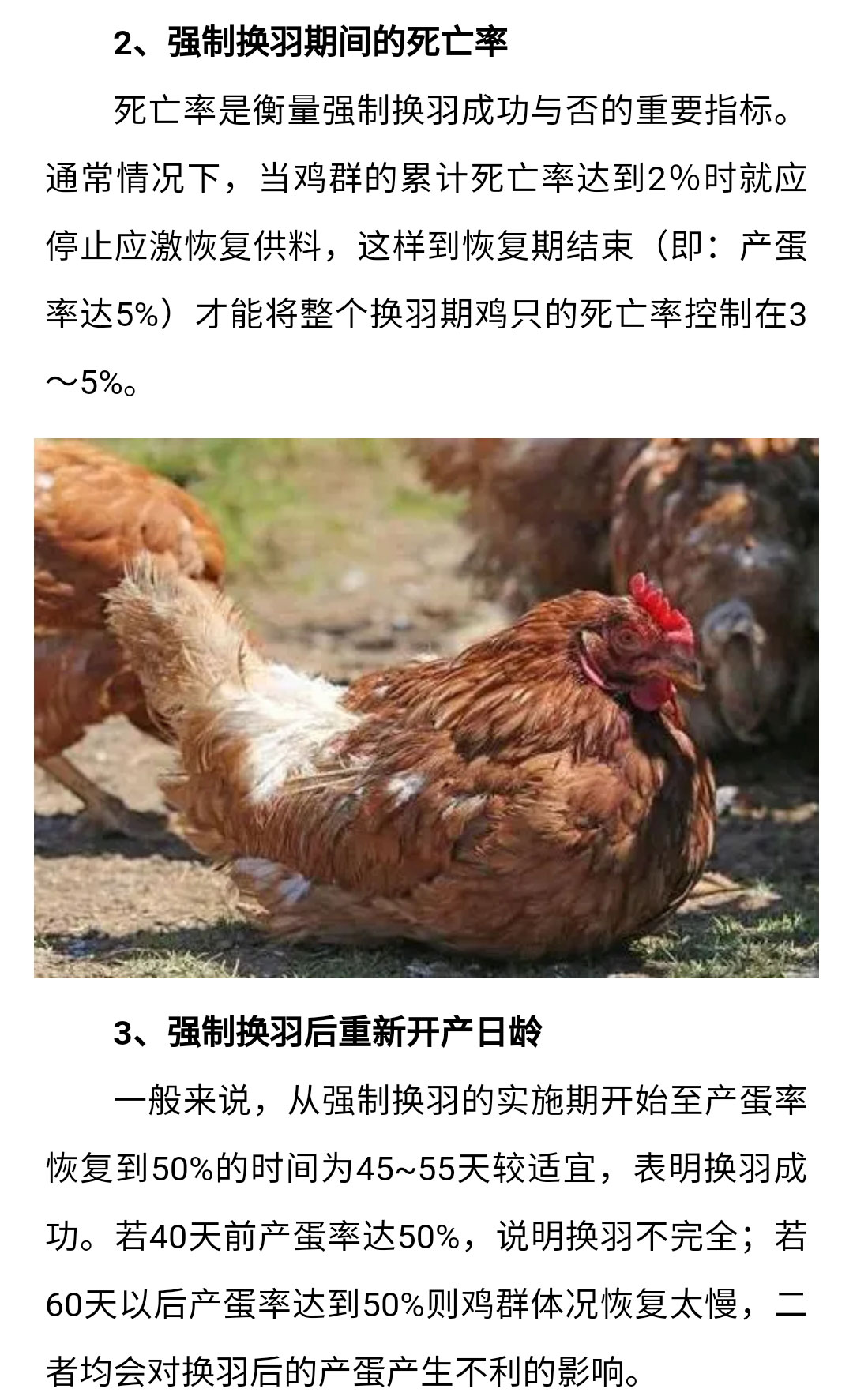 香港马料正版资料