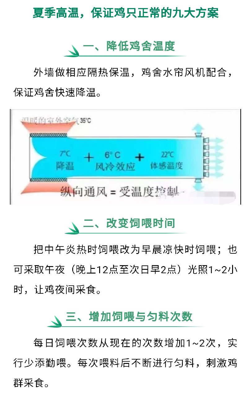 香港马料正版资料