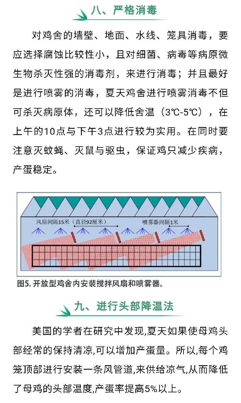 香港马料正版资料