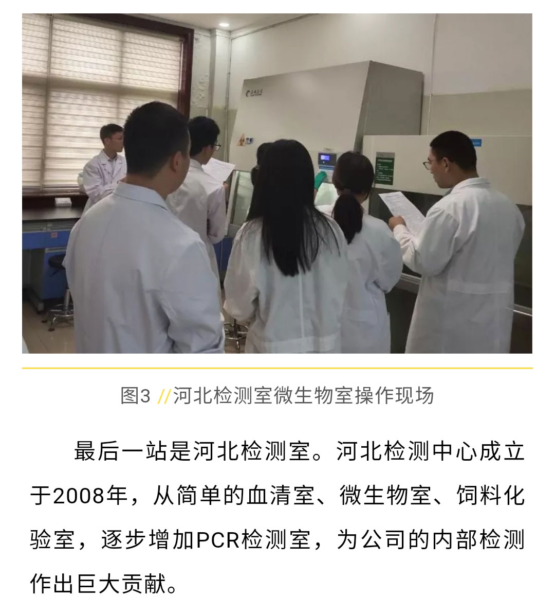 香港马料正版资料