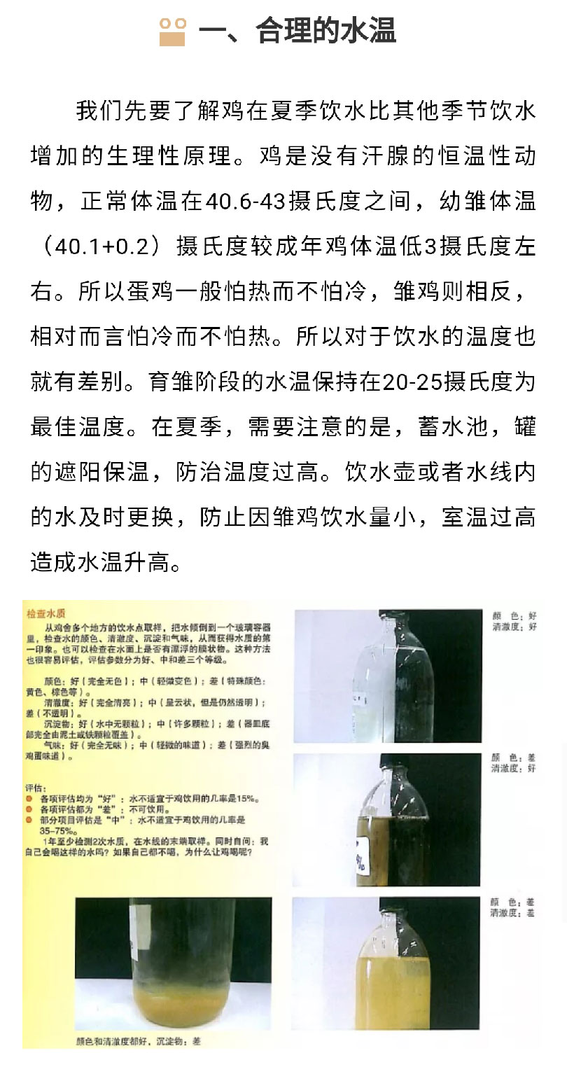 香港马料正版资料