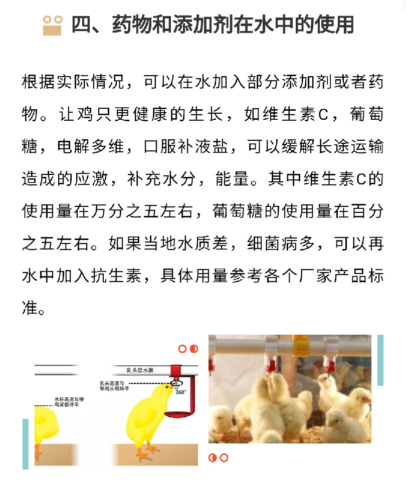 香港马料正版资料