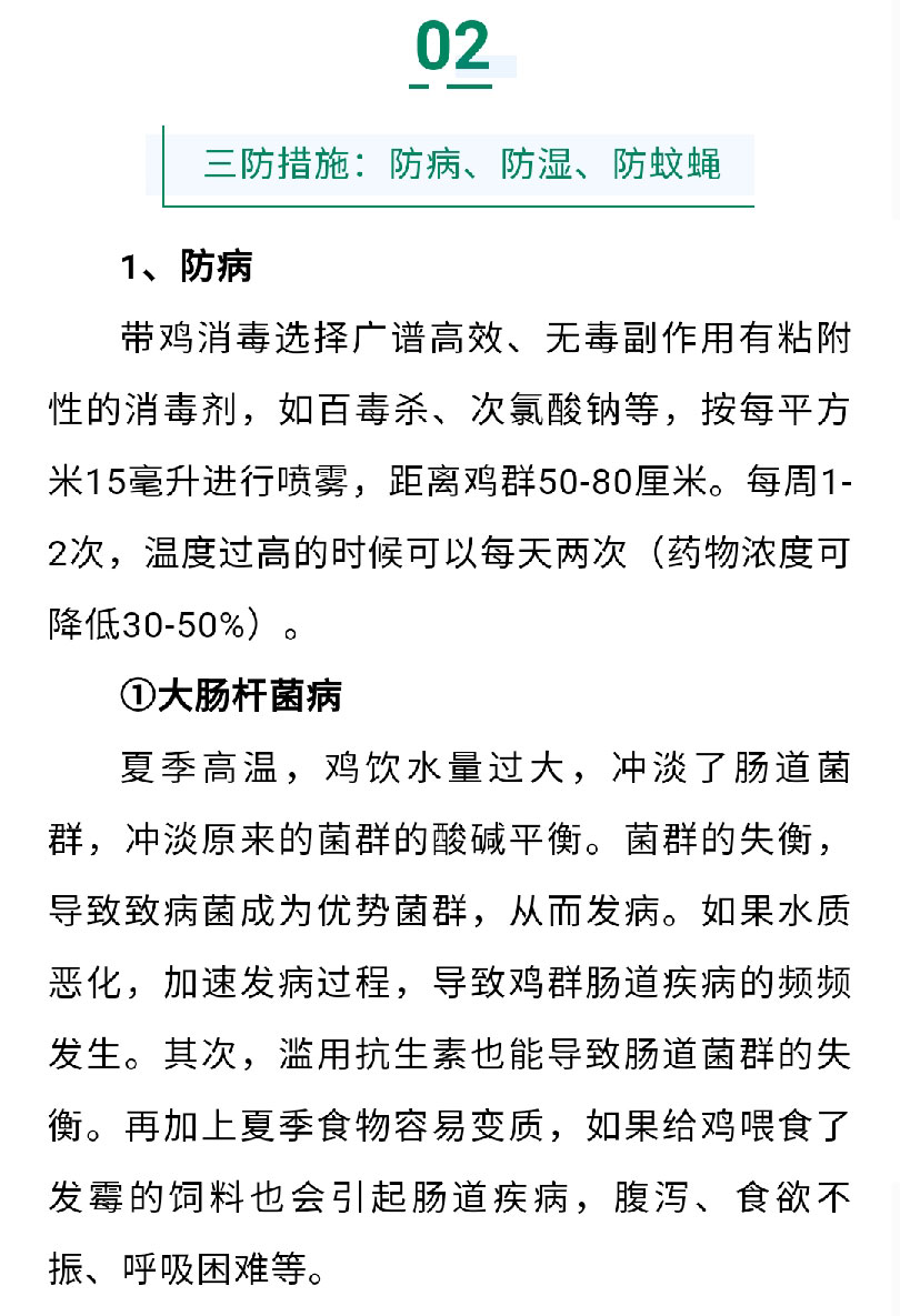 香港马料正版资料