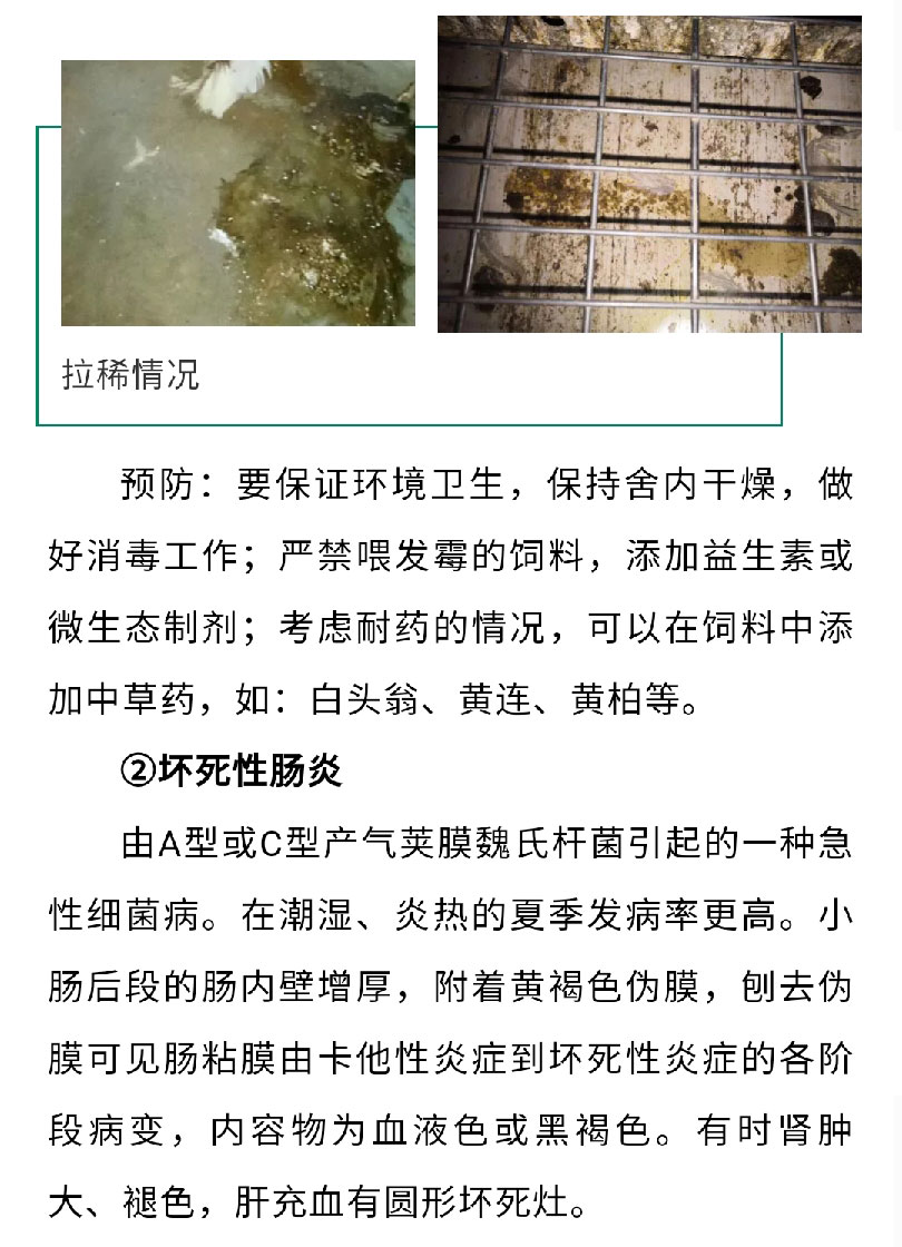 香港马料正版资料