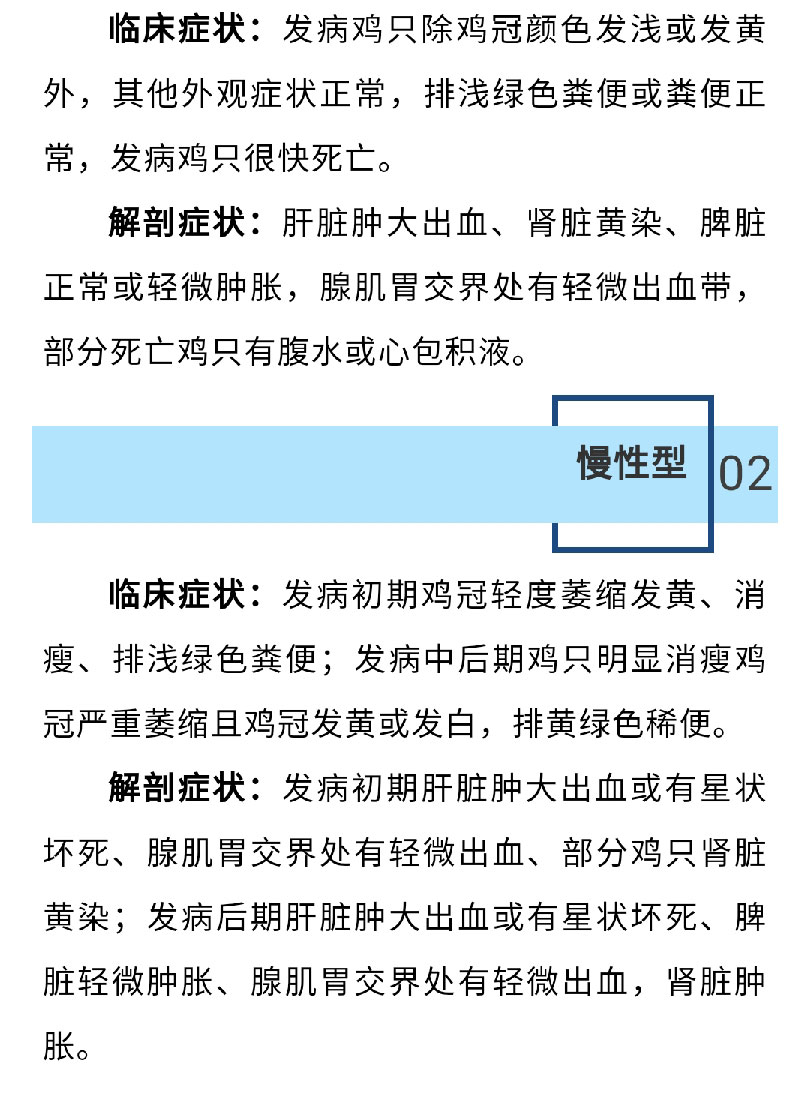 香港马料正版资料