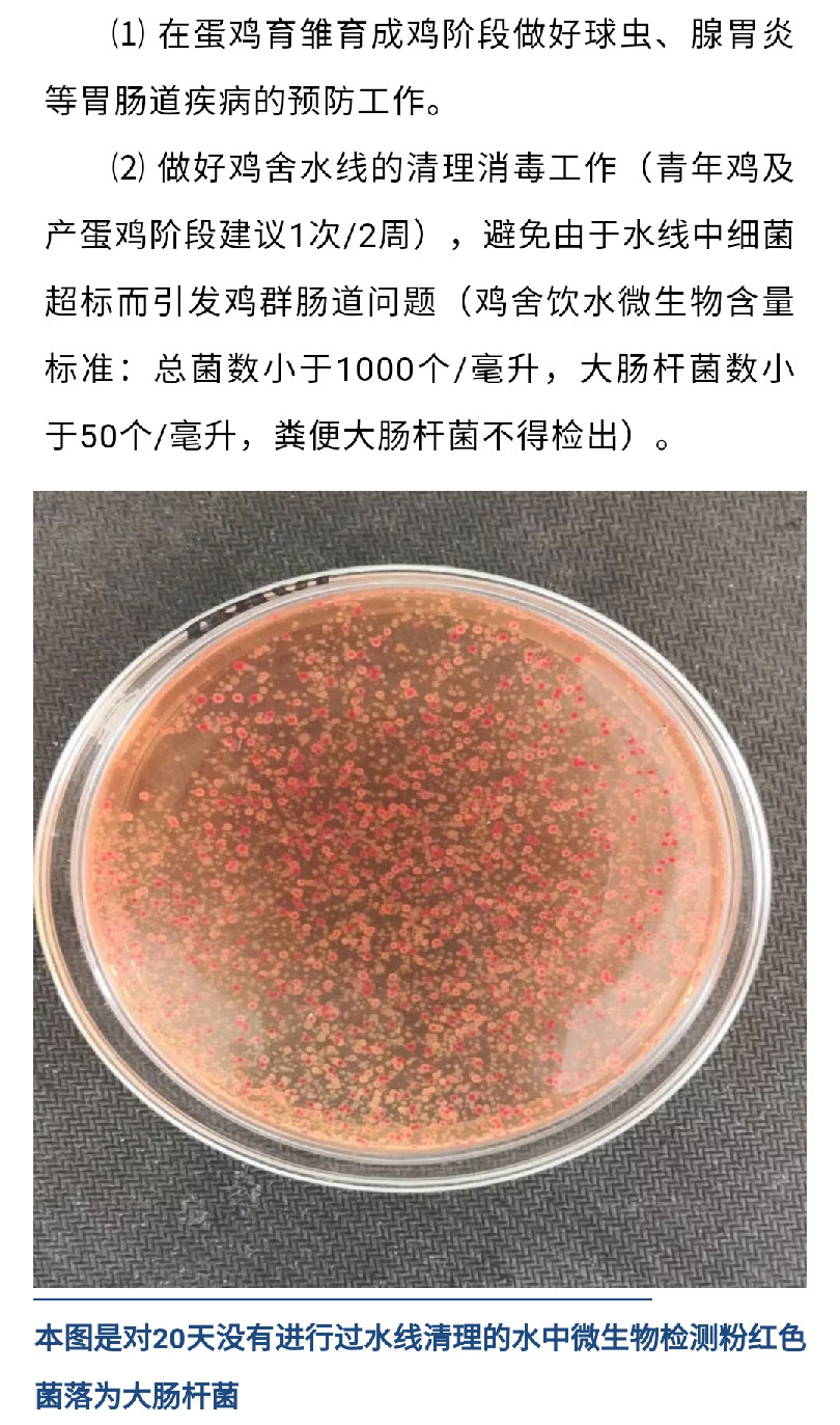 香港马料正版资料